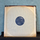 New York Dolls - In Too Much Too Soon Vinyl