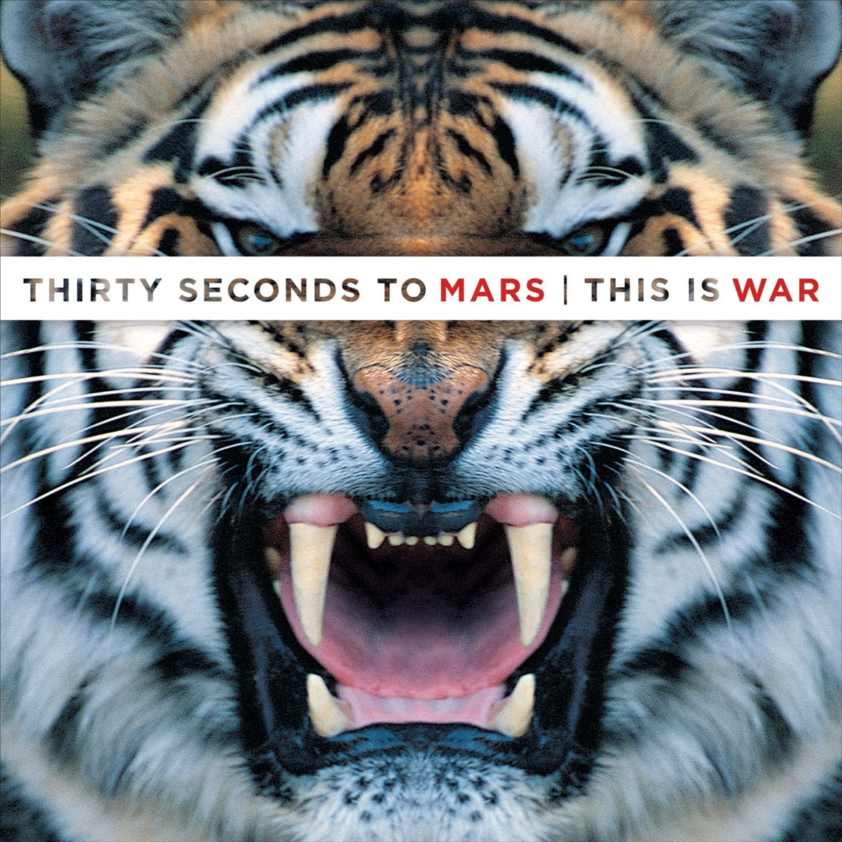 Thirty Seconds to Mars - This is War - VINYL