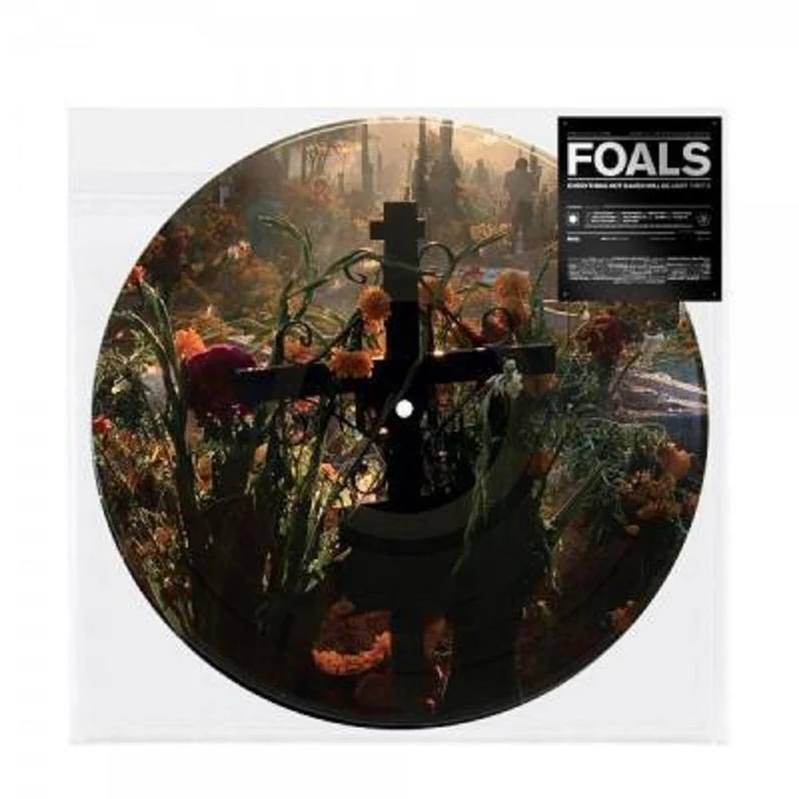 Foals - Everything Not Saved Will Be Lost-  Part 2 - LP Picture Disc