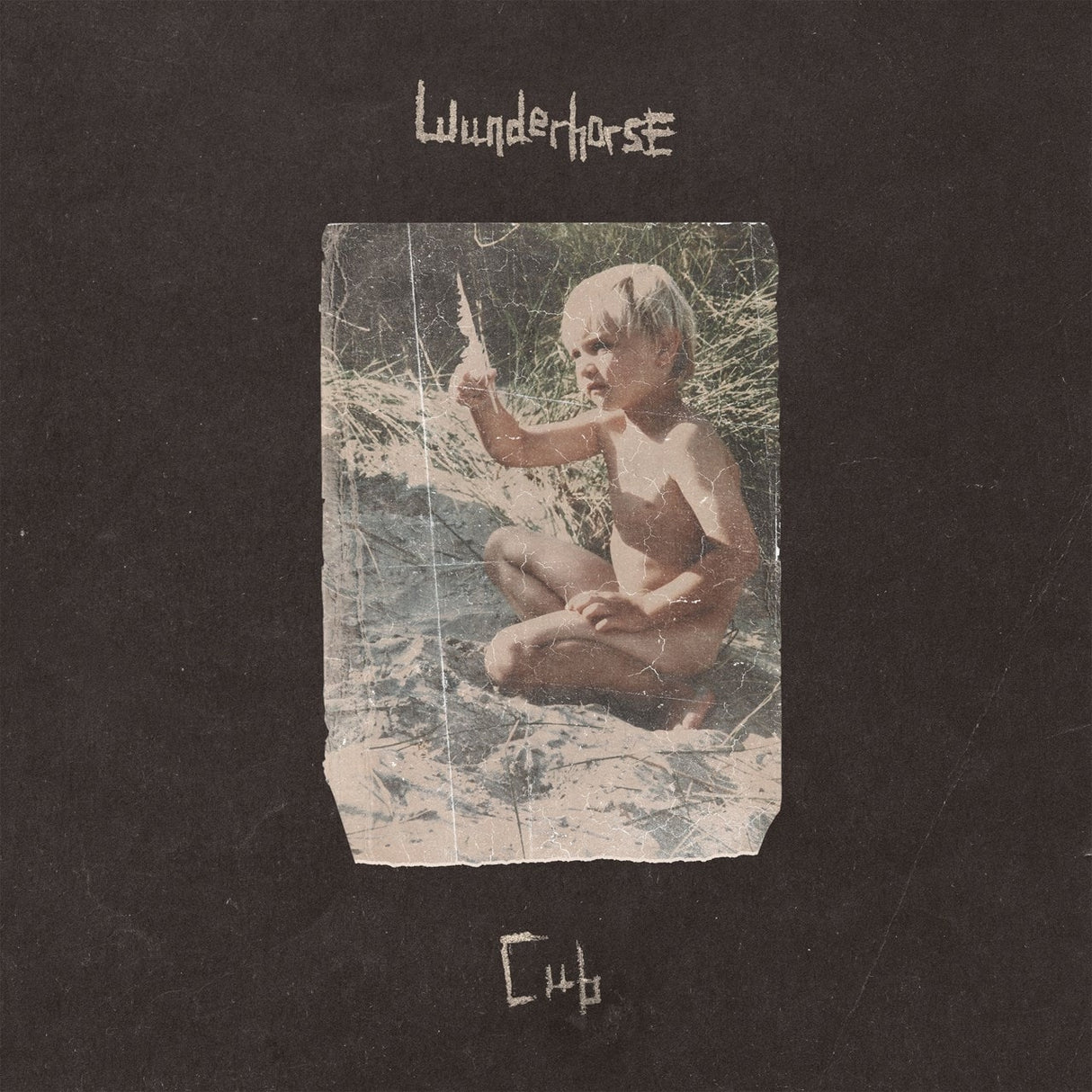 Wunderhorse - Cub - Vinyl